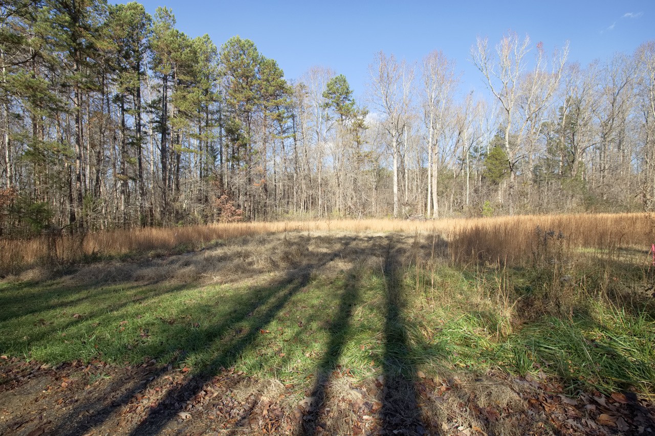 Land For Sale Northampton Nc